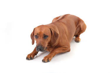 Similar image 1104551