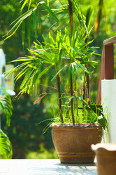 Similar image 1104578