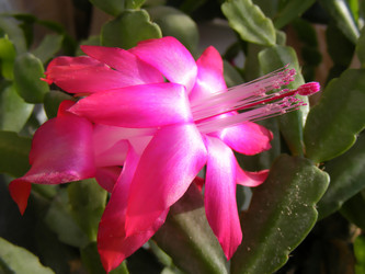 Similar image 1104622