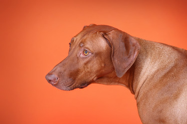 Similar image 1104627