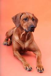 Similar image 1104628