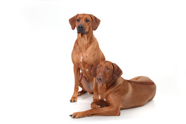 Similar image 1104633