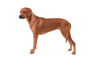 Similar image 1104635