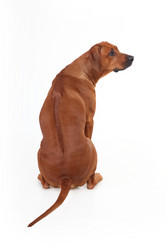 Similar image 1104636