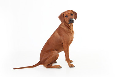 Similar image 1104637