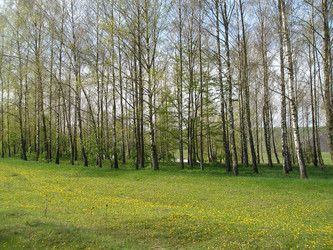 Similar image 1104651