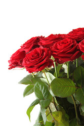 Similar image 1104667