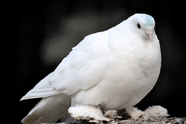 Similar image 1104680