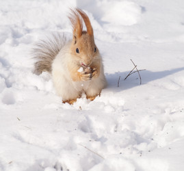 Similar image 1104689