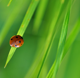 Similar image 1104693