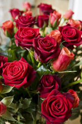 Similar image 1104694