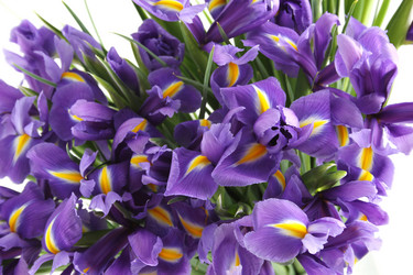 Similar image 1104698