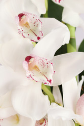 Similar image 1104699