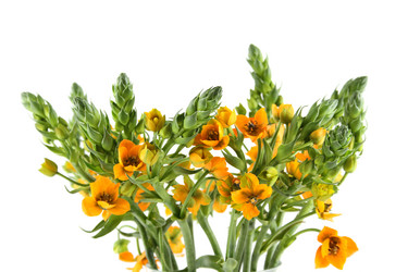 Similar image 1104702