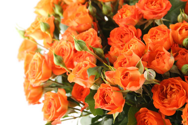 Similar image 1104718