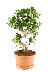 Similar image 1104719