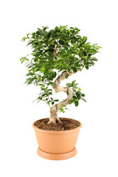 Similar image 1104720