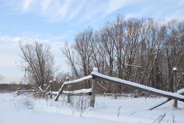 Similar image 1105018