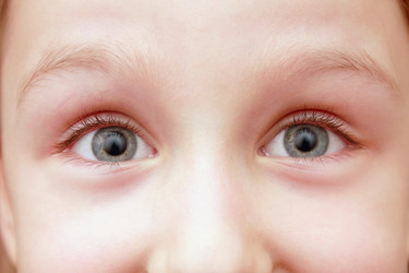 Similar image 1105048