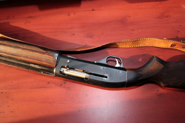 Similar image 1105073