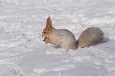 Similar image 1105129