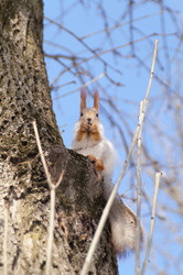 Similar image 1105130