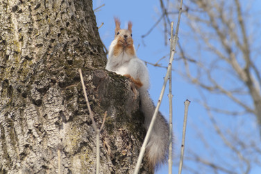 Similar image 1105131