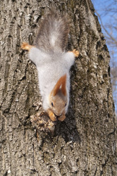 Similar image 1105135