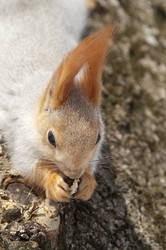 Similar image 1105136