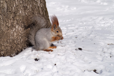 Similar image 1105137