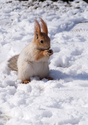 Similar image 1105138