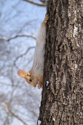 Similar image 1105139