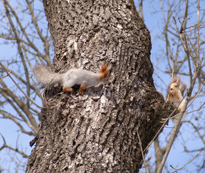 Similar image 1105140