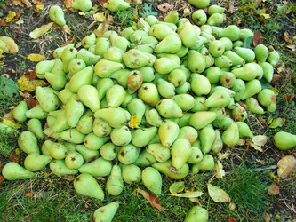 Similar image 1105146