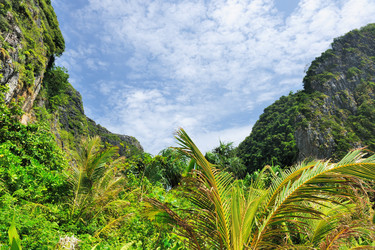 Similar image 1105312