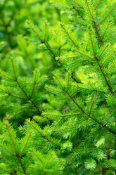 Similar image 1105318