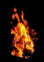 Similar image 1105369