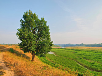 Similar image 1105405