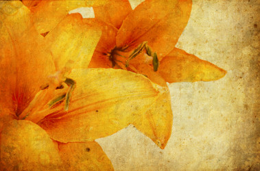 Similar image 1105417