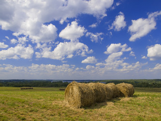 Similar image 1105424