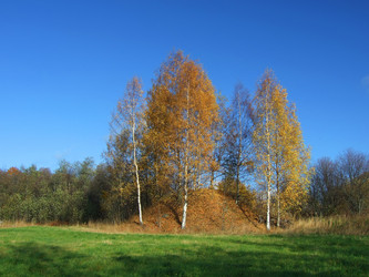 Similar image 1105452