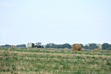 Similar image 1105562