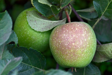 Similar image 1105658