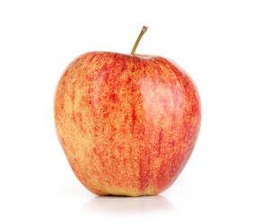 Similar image 1105681