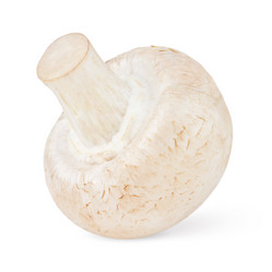 Similar image 1105722