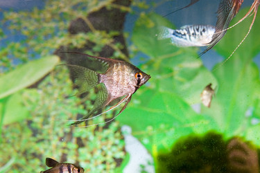 Similar image 1105775