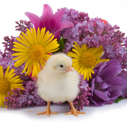 Similar image 1105845