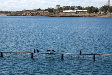 Similar image 1105866