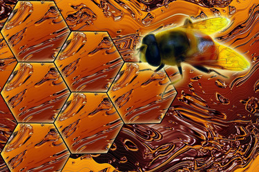 Similar image 1105920