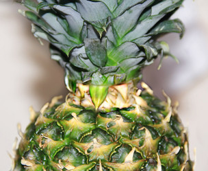 Similar image 1105931